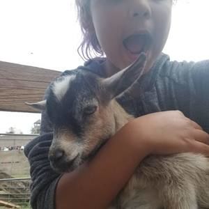 Meet your Posher, Ray